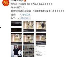 全国黑料爆料视频最新版,揭秘娱乐圈惊人内幕