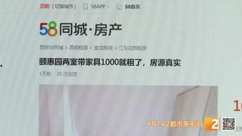 深圳沈先生最新爆料事件,揭秘背后惊人真相