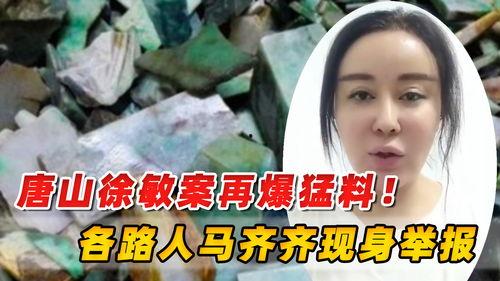 唐山市路人爆料案件最新,惊曝重大案件细节，真相即将揭晓！